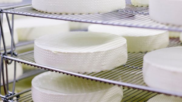 Aging cheese at home: Possible or not?